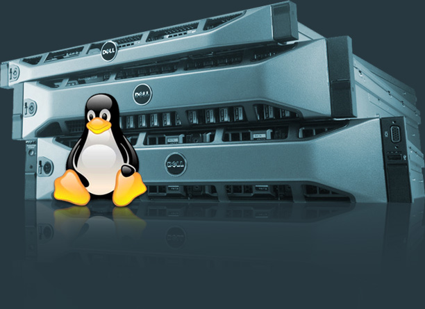 Dell Servers with Linux Operating System