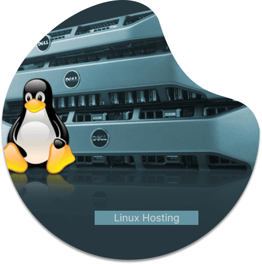 Linux Hosting with Server Rack