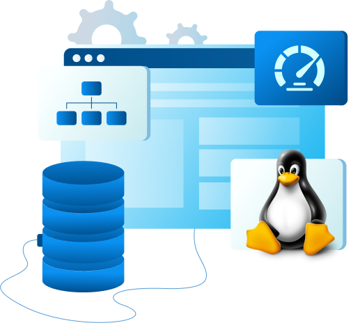 Illustration of Linux server management with database, website, and performance monitoring tools.